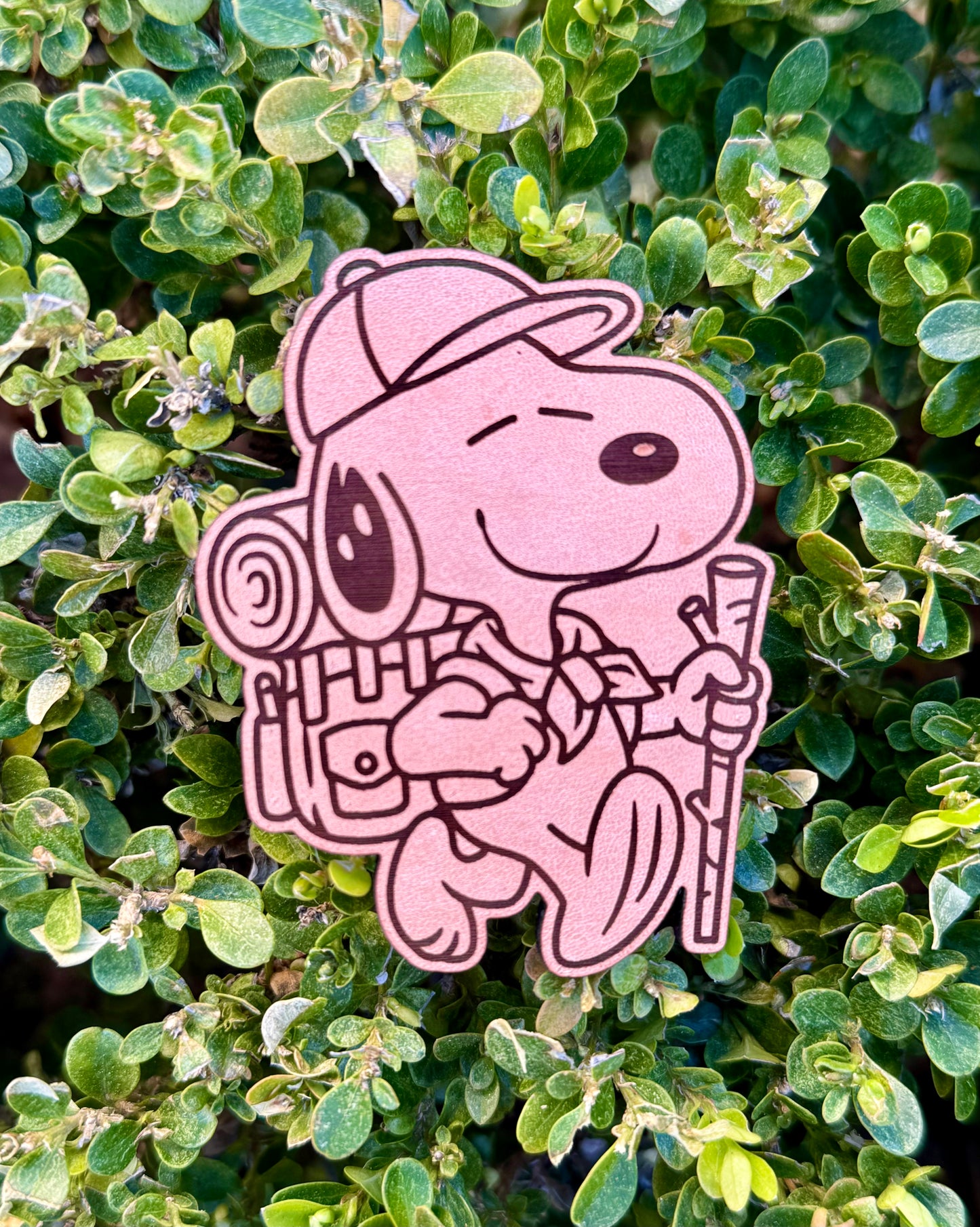 S & W Hiker Leather